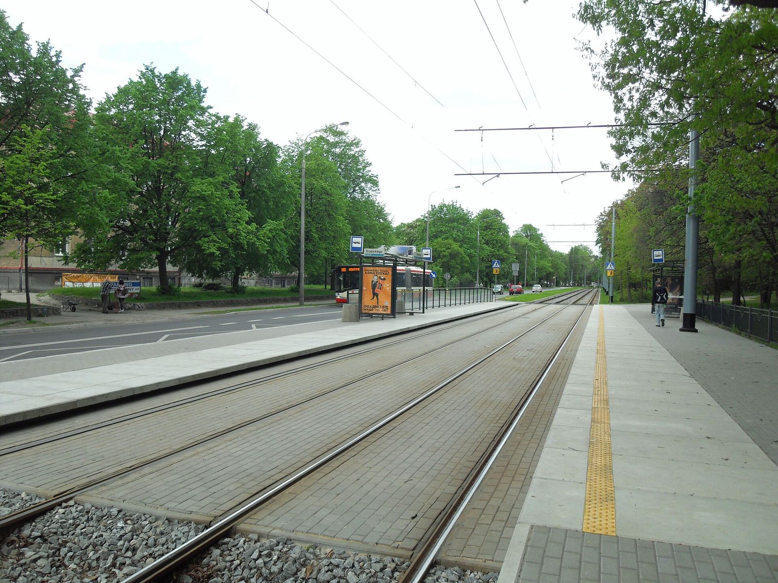 Pusty przystanek tramwajowy Krasickiego w gdańskim Brzeźnie, tory biegną w głąb ulicy między drzewami